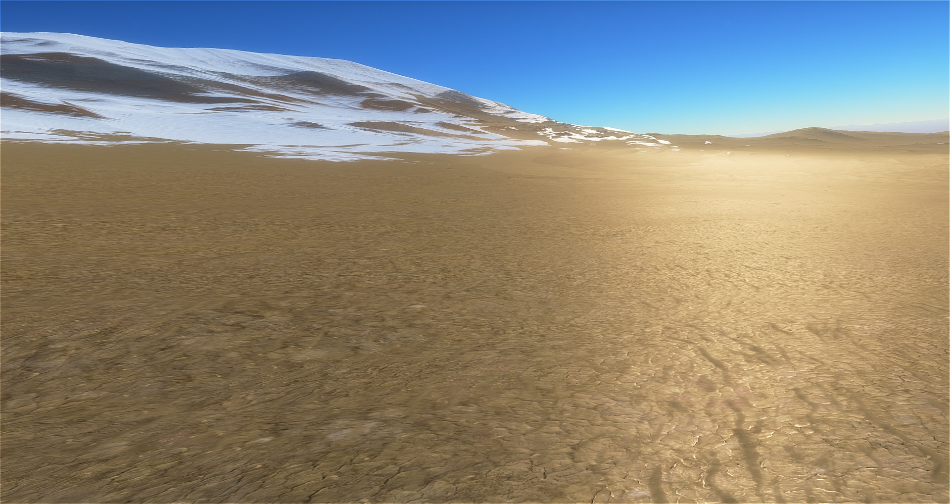 Surface view 1: Before